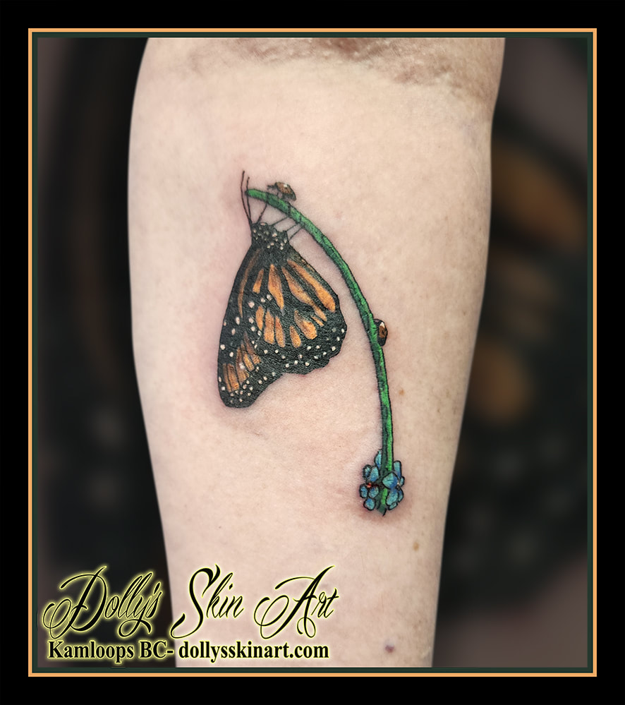 butterfly tattoo monarch stem ladybugs tattoo kamloops dolly's skin art