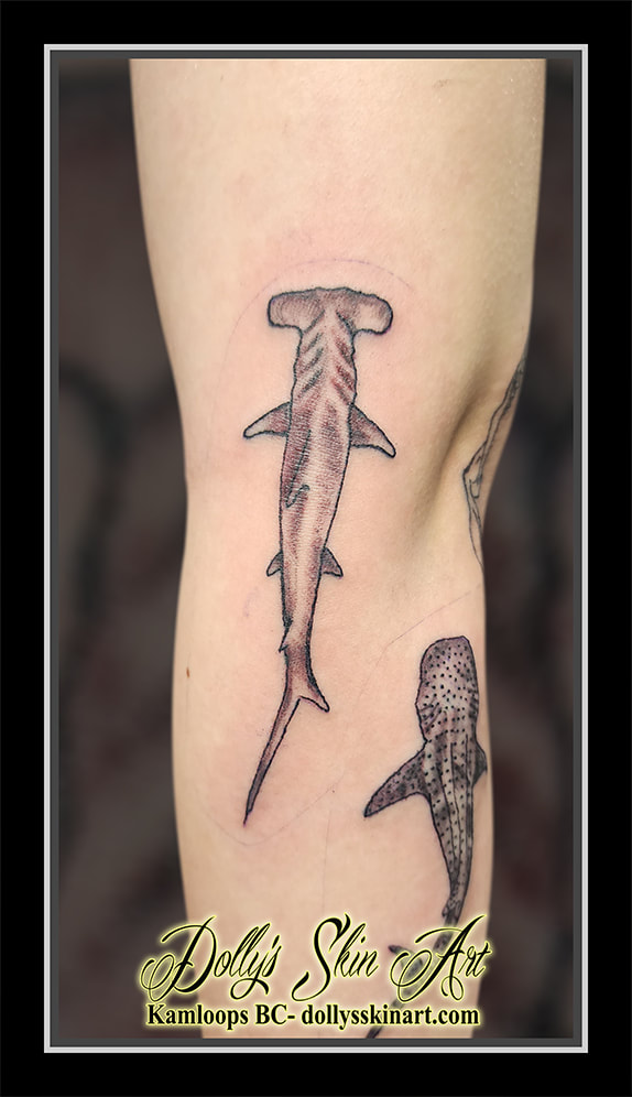 hammerhead shark tattoo black and grey shading Sphyrnidae tattoo kamloops dolly's skin art