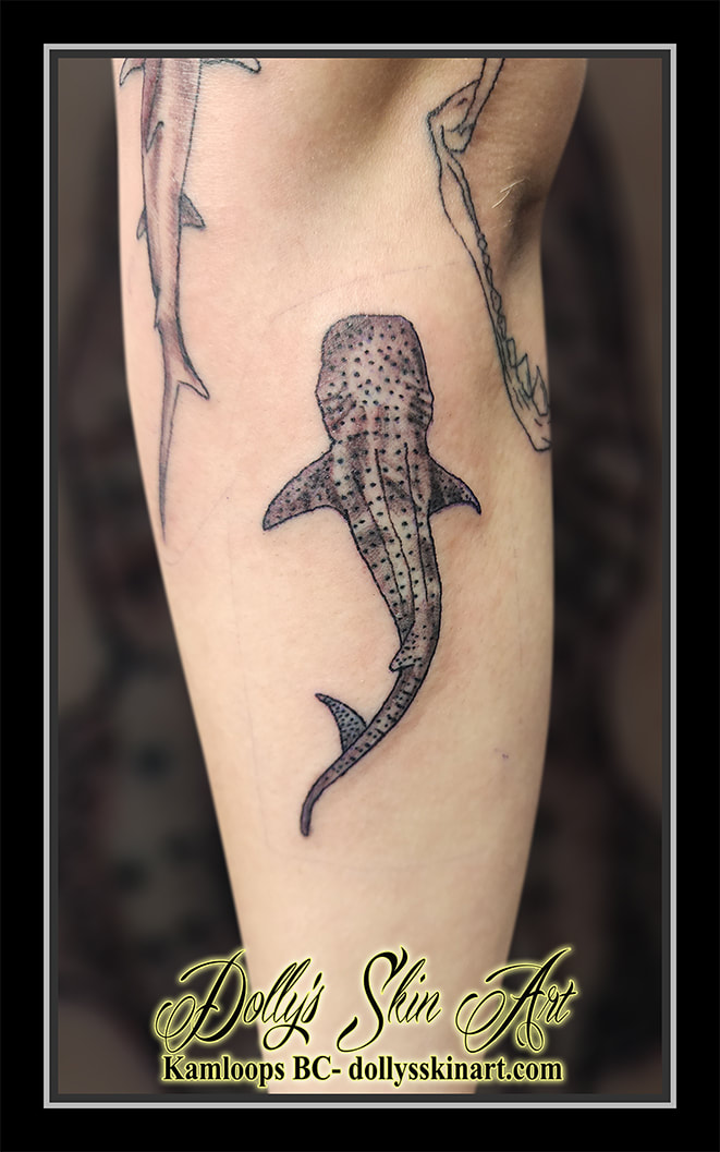 whale shark tattoo black and grey shading Rhincodon typus tattoo kamloops dolly's skin art