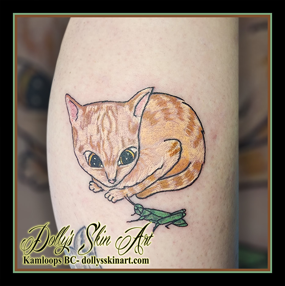 cat tattoo kitten colour tucker grasshopper brown yellow orange grey white green black tattoo kamloops dolly's skin art