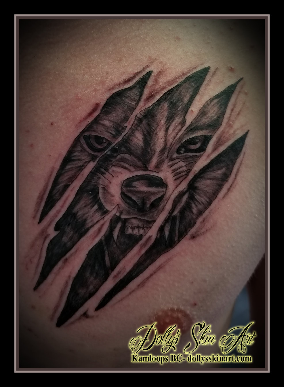 black and grey shading shaded wolf head face growl rip skin chest tattoo kamloops dolly's skin art