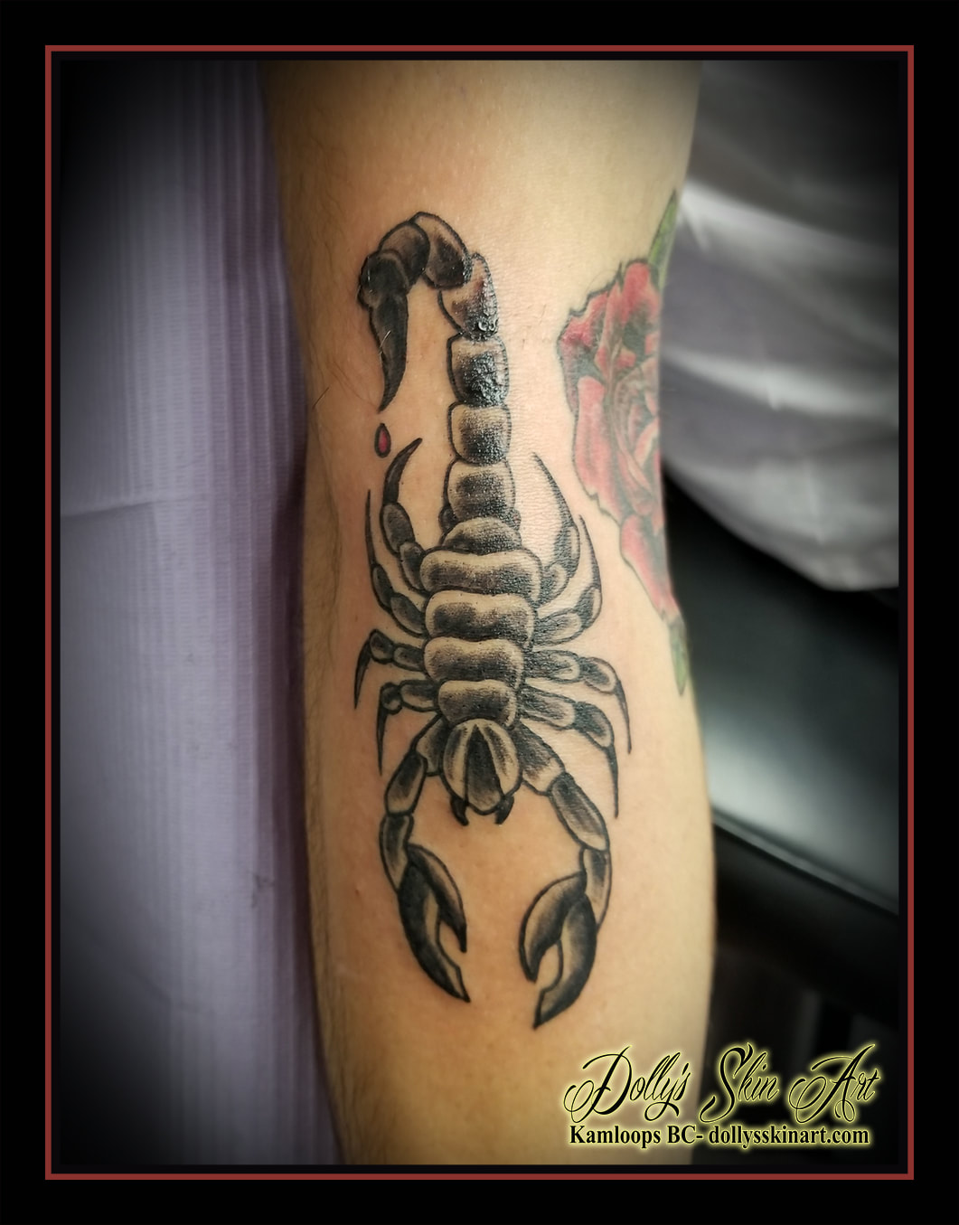 scorpion traditional black red shaded forearm tattoo kamloops tattoo dolly's skin art