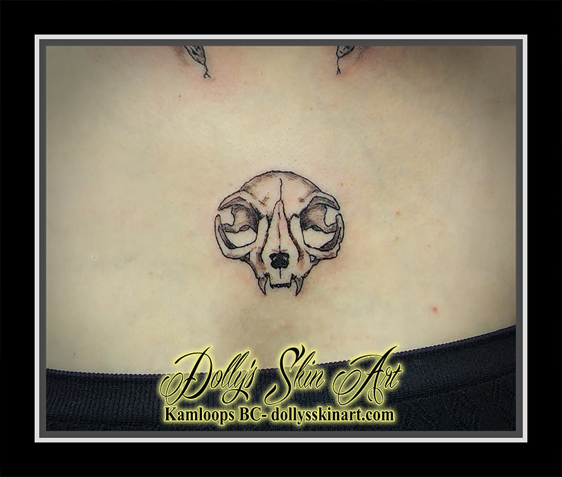 cat skull tattoo chest breastbone sternum black and grey shading line work tattoo tattoo dolly's skin art kamloops british columbia