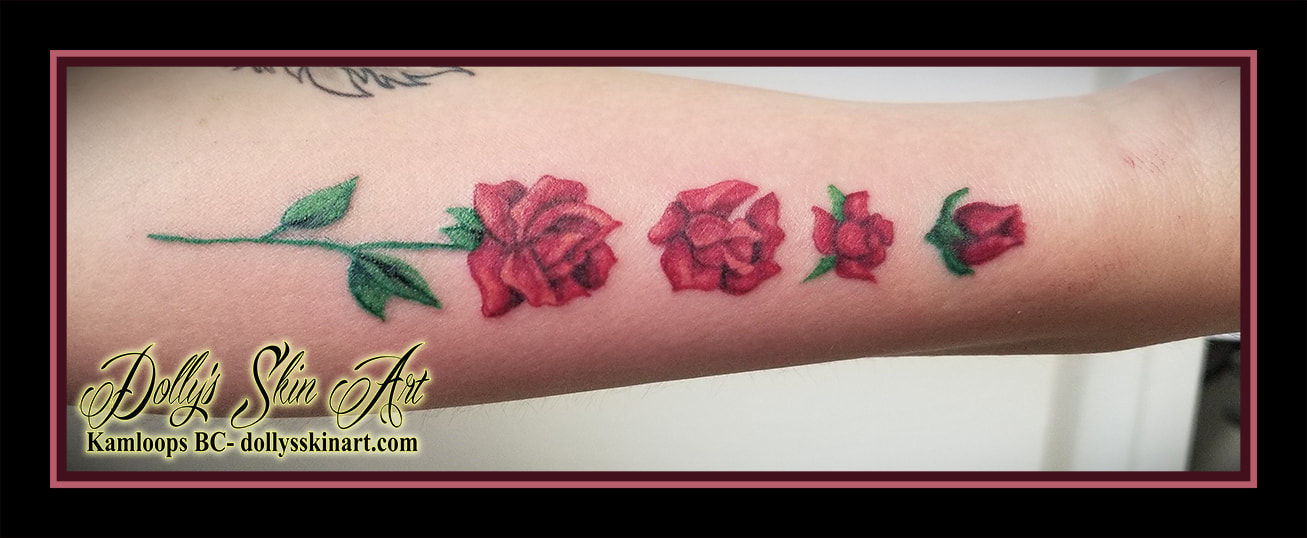 rose stages life cycle forearm colour red green tattoo kamloops tattoo dolly's skin art