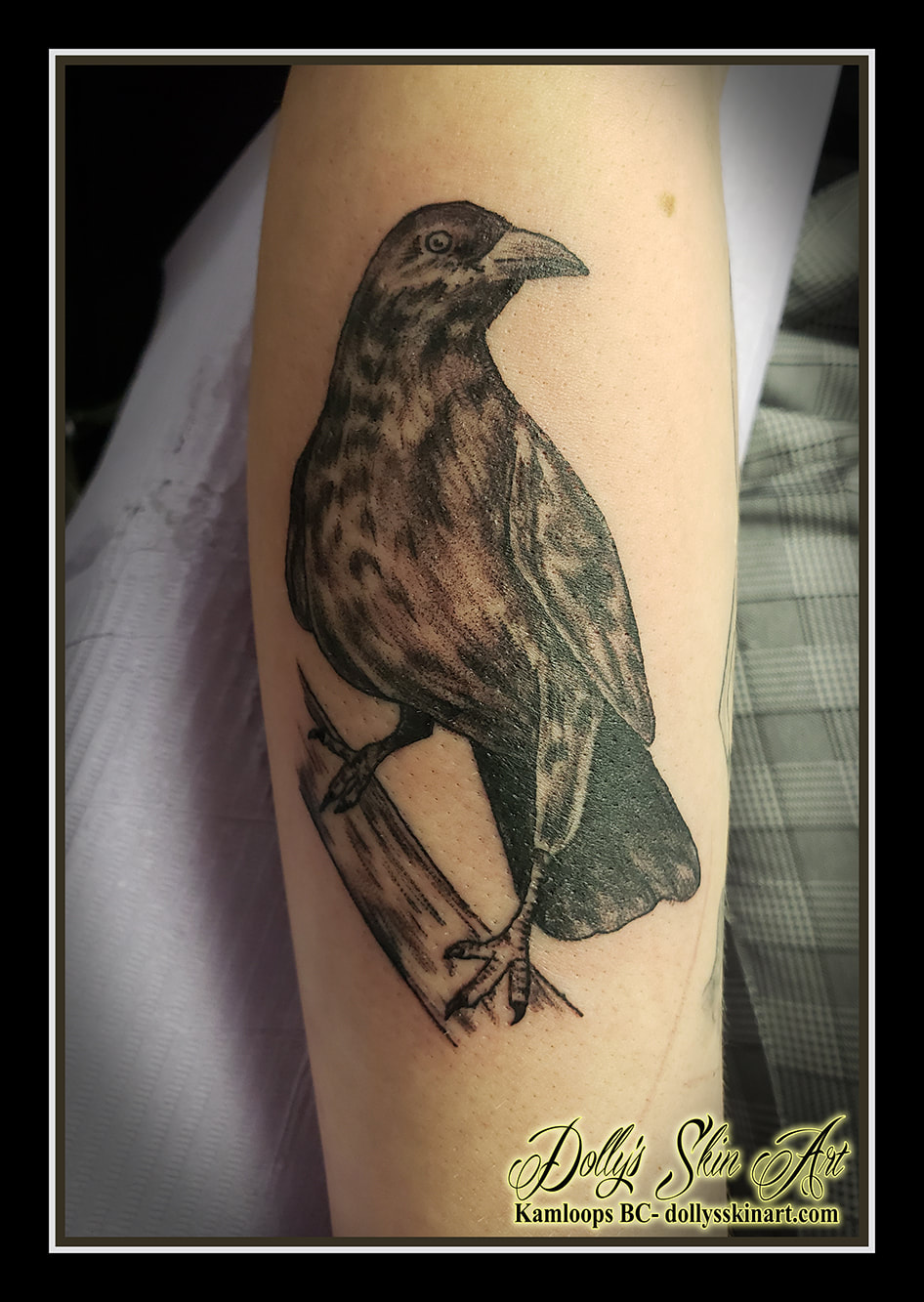crow tattoo black and grey shading forearm bird branch tattoo dolly's skin art kamloops