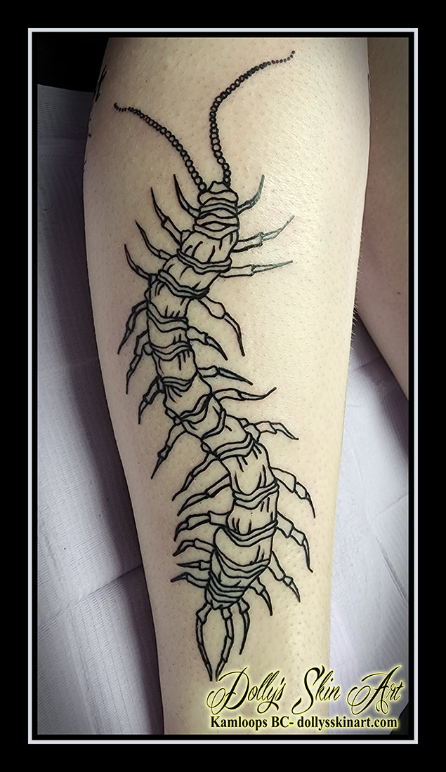 centipede bee tattoo black and grey leg linework shading tattoo dolly's skin art kamloops