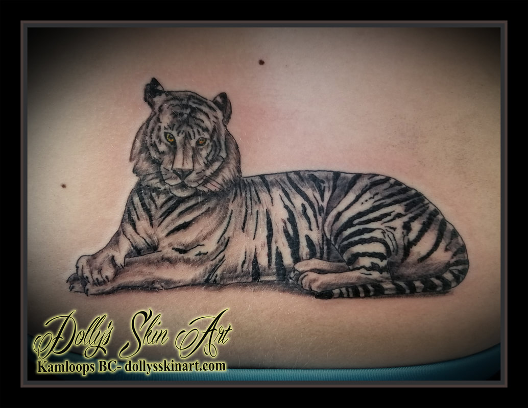 black and grey shaded tiger sitting yellow eye back tattoo kamloops dolly's skin art